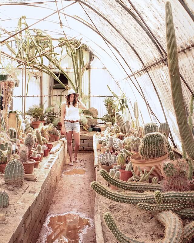 A girl walks through Moorten Botanical Garden in Palm springs admiring all the cacti