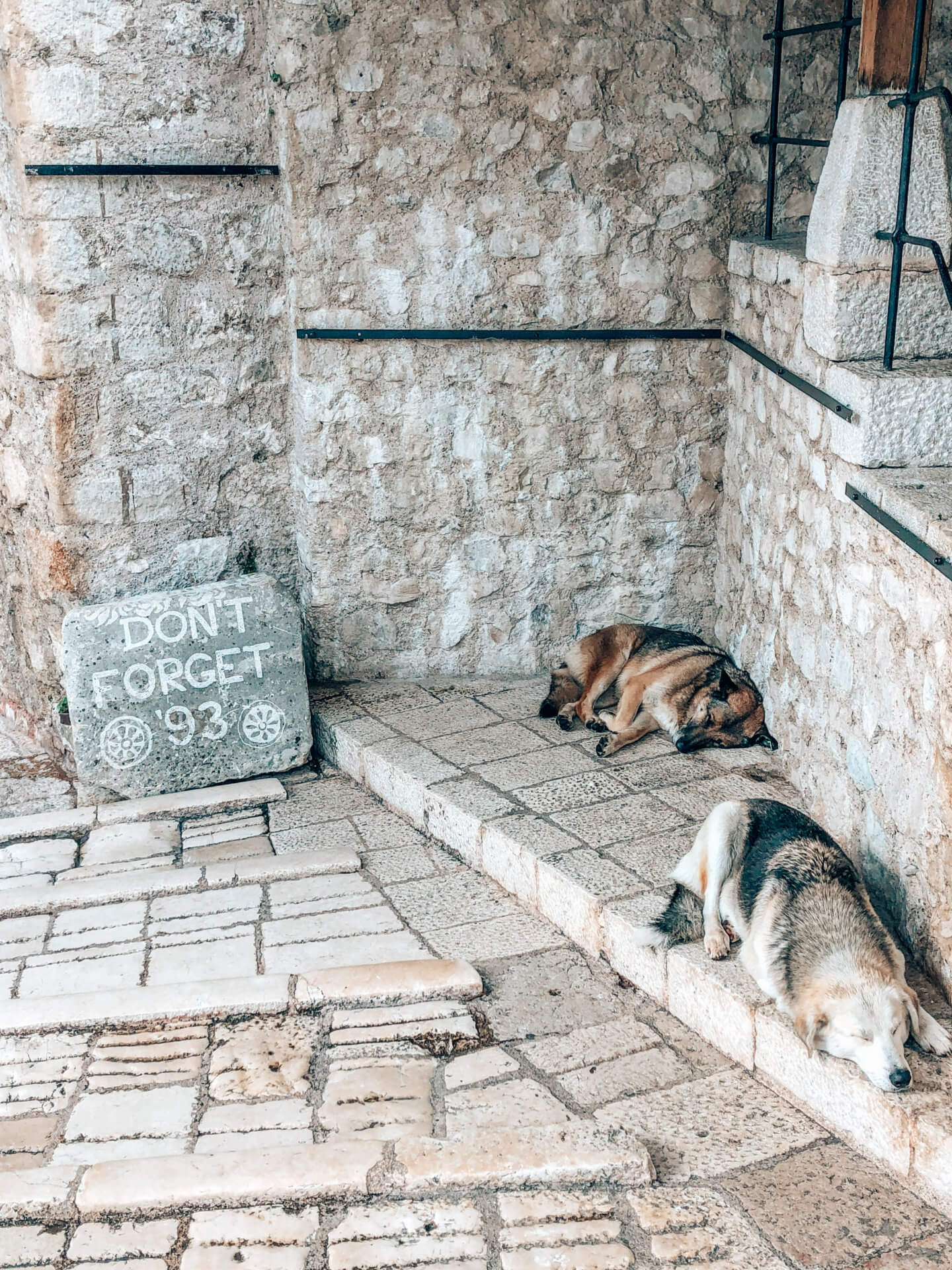 Don't Forget 1993 memorial sign with stray dogs in Mostar