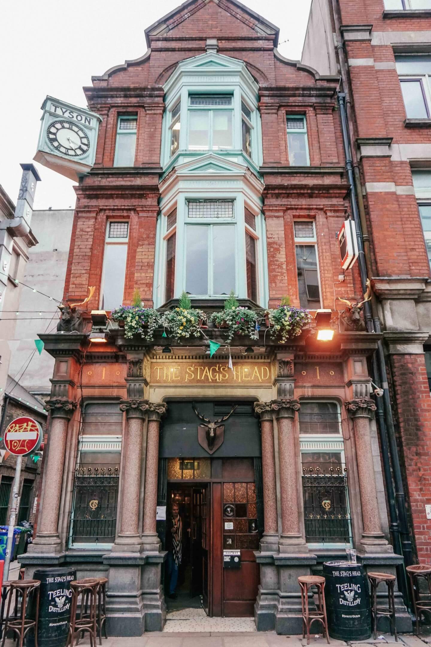 Celebrating St Patrick’s Day in Dublin - Stag Head