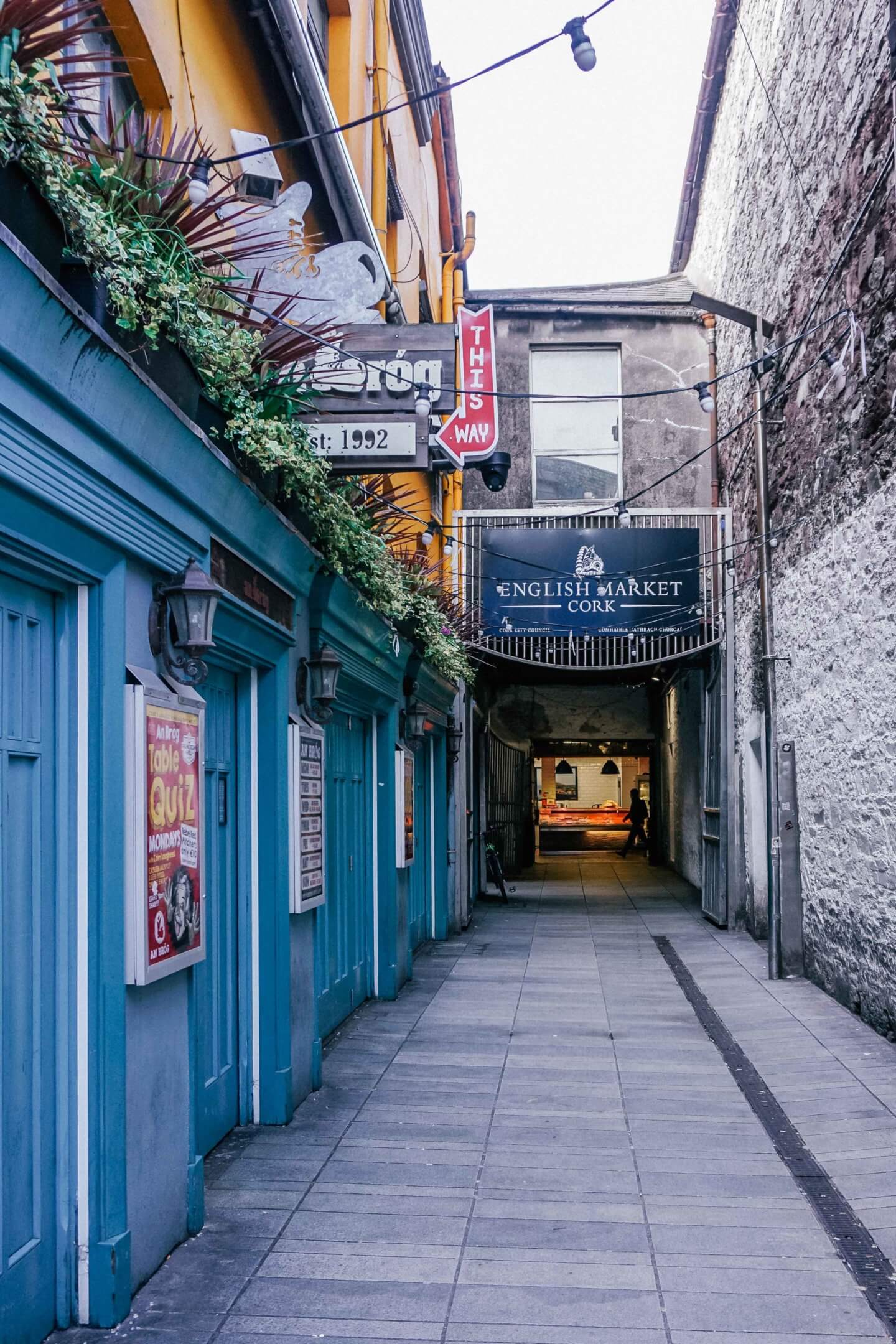 Places to Visit in Ireland - The English Market in Cork 