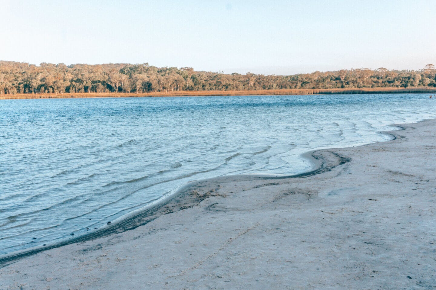 Brown Tea-tree Lake on Stradbroke island