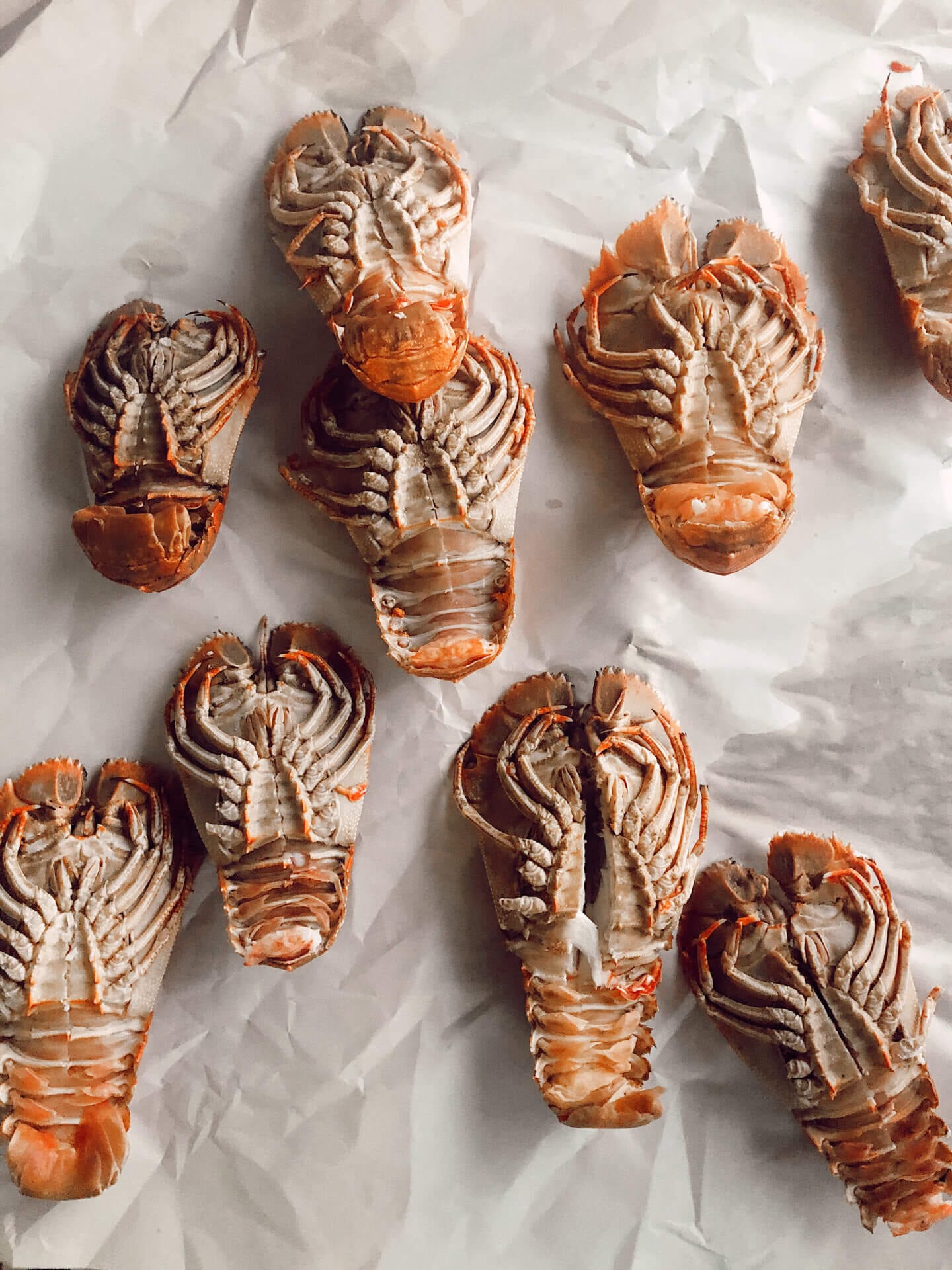 Several Morton Bay Bugs from Rufus King Seafood Shop