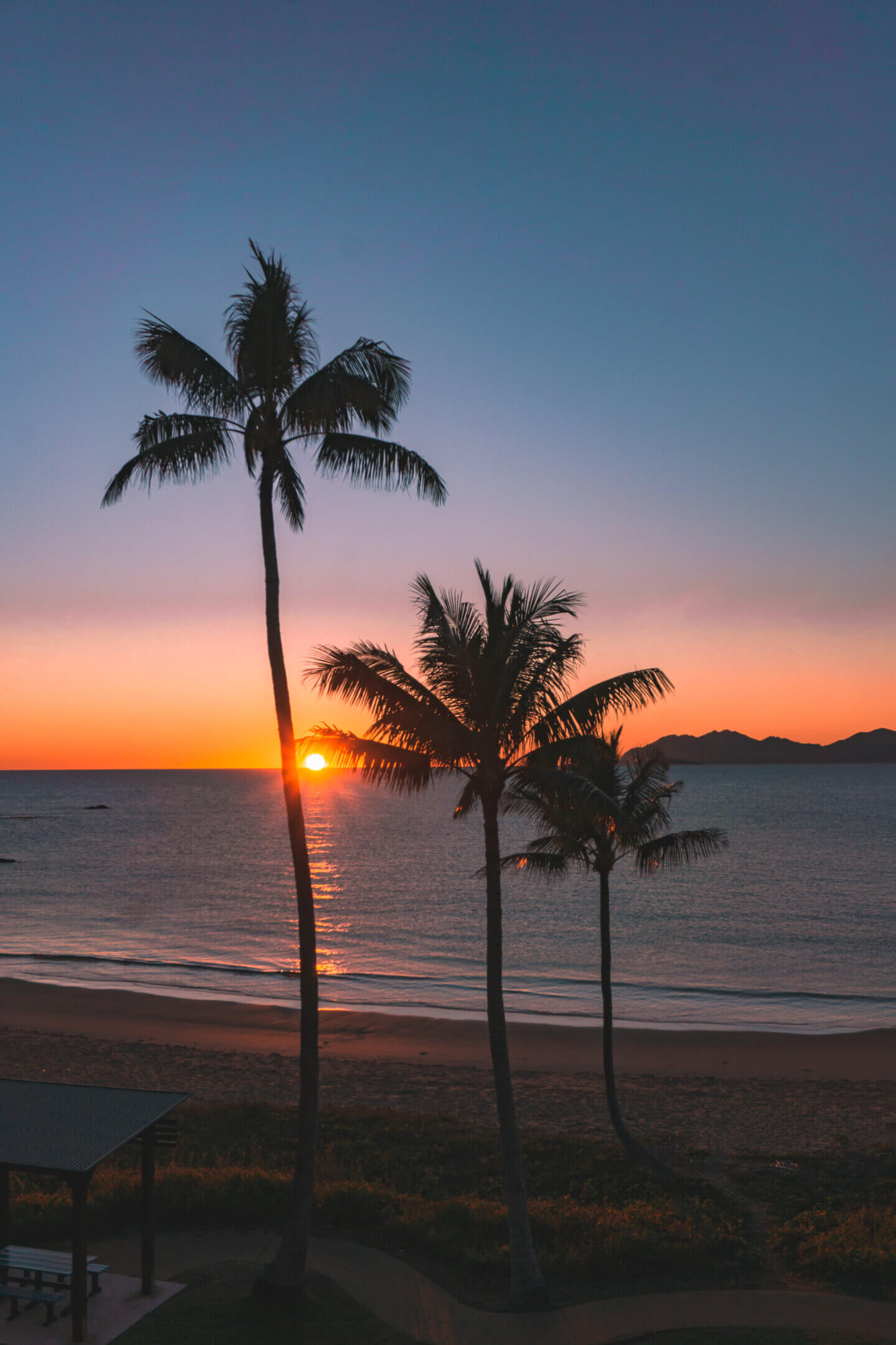 A beautiful sunrise poking through the palm trees in Bowen Queensland