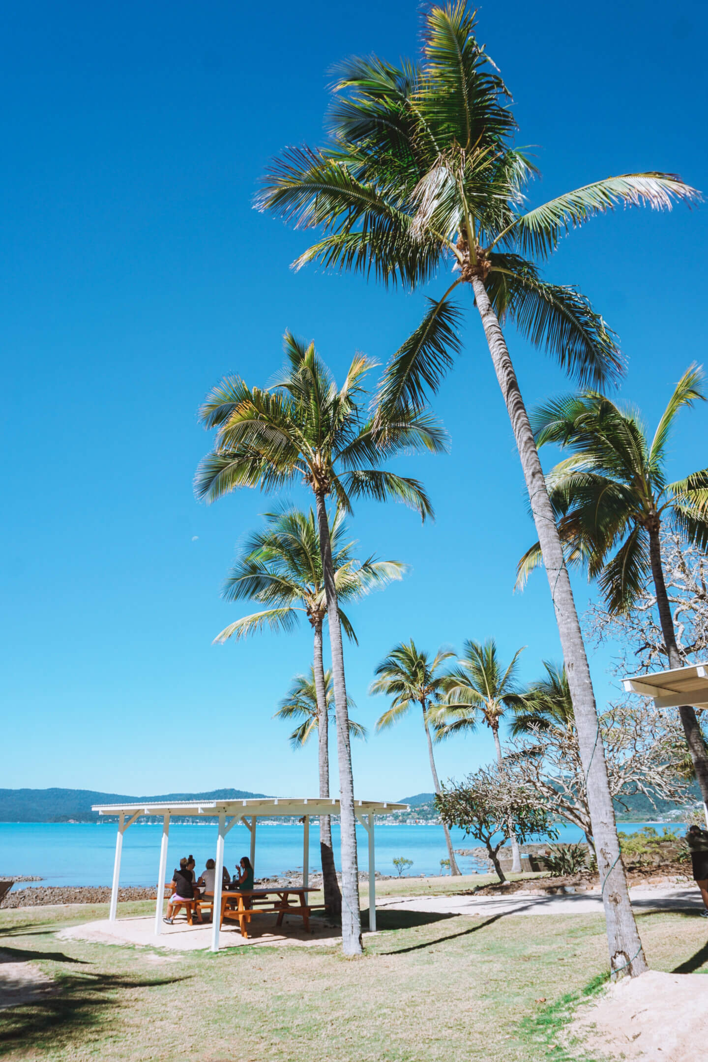 A Whitsunday view at the Northerlies Beach Bar in Airlie Beach