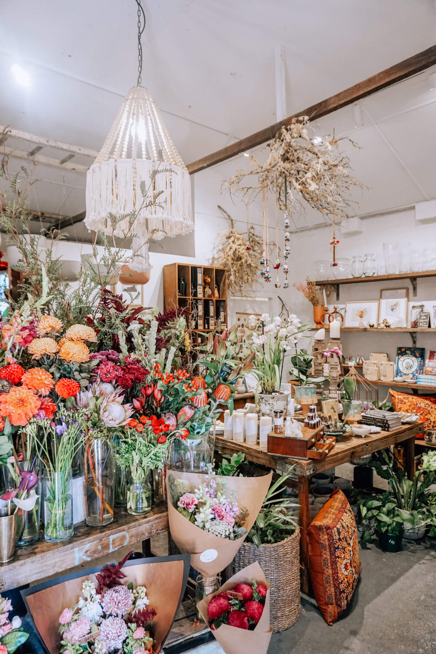 Inside Haven Botanical in Mullumbimby NSW