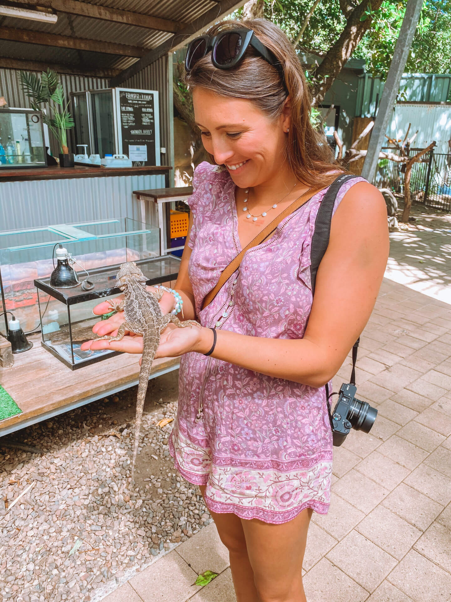 A girl wearing a purple dress holding a little lizard at the Bungalow Bay Koala Village