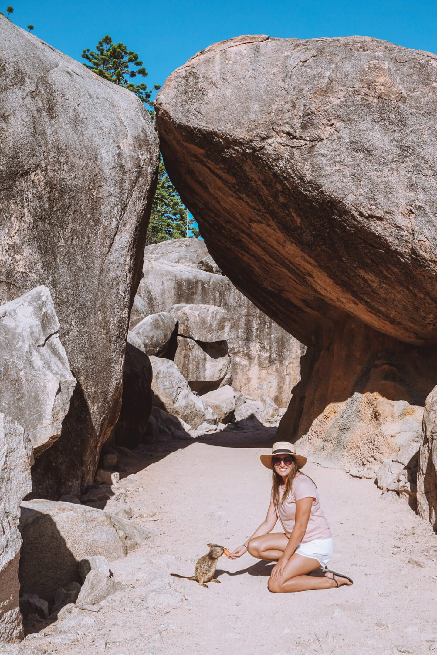 A girl in a hat feeds a rock wallabies on Magnetic Island