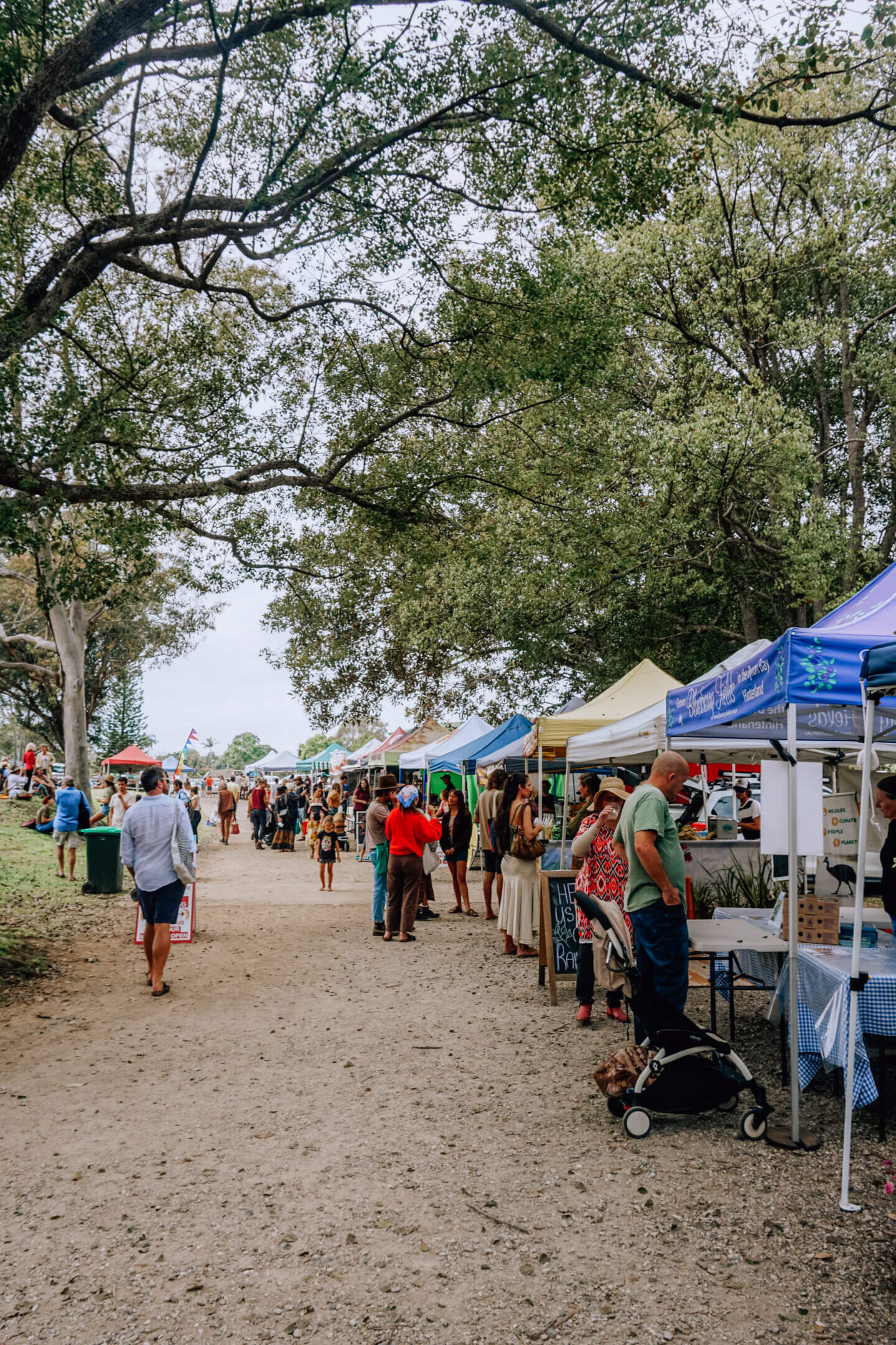 The stalls lined up at the Mullumbimby's Farmer's Market