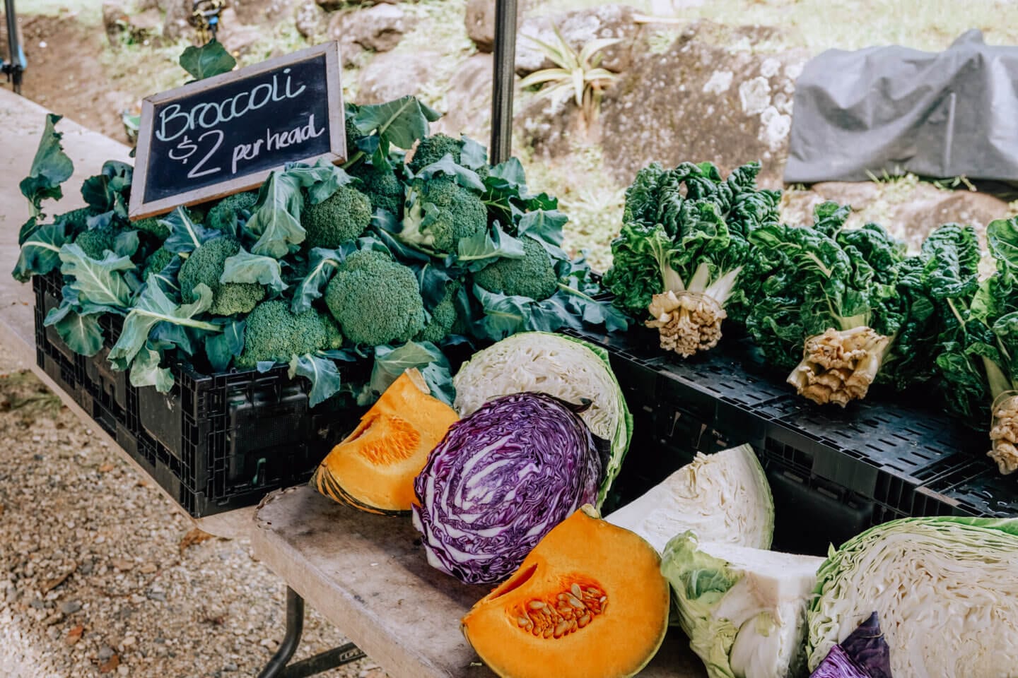 Colourful pumpkins, cabbage, broccoli and kale at the Mullumbimby Farmer's Market
