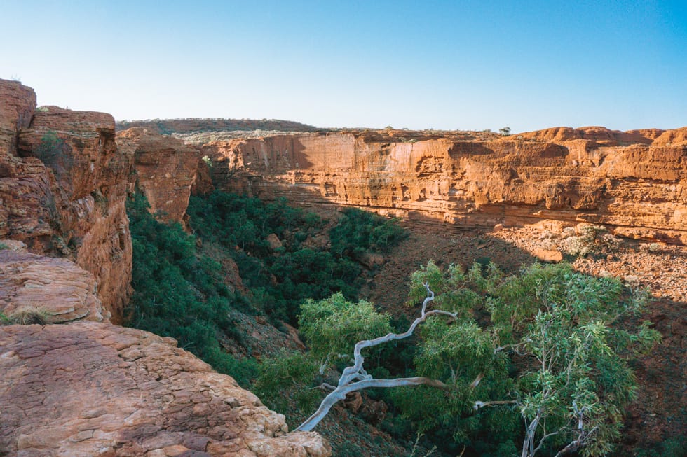 The Kings Canyon Rim Walk at golden hour in Northern Territory, Australia