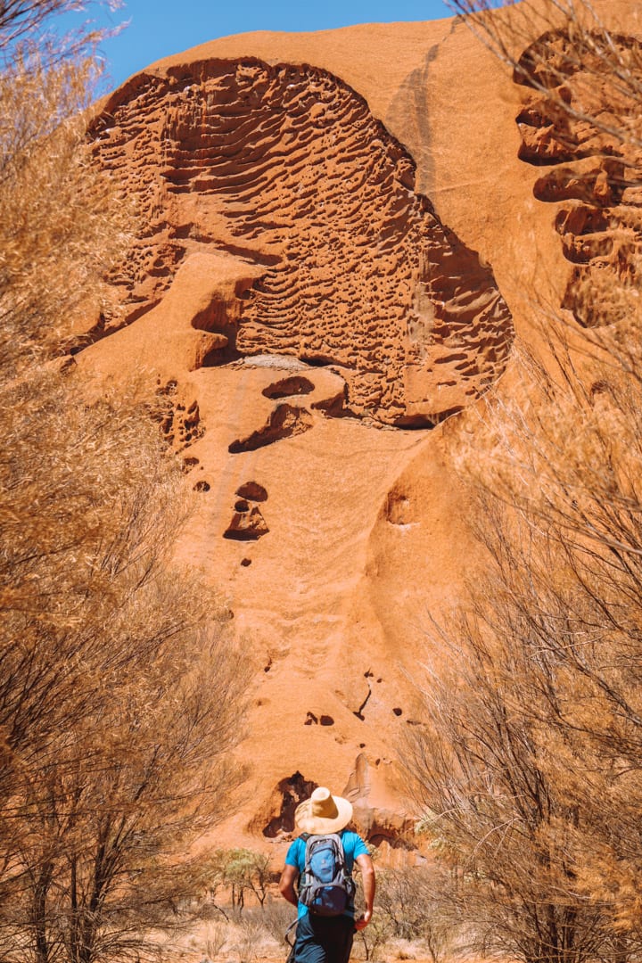 Guy with a blue shirt and hat walks towards Uluru as it towers above him