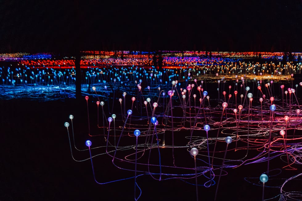 50,000 hand-blown lights at the Field of Light art installation