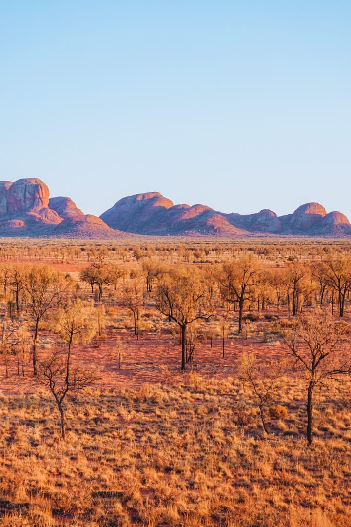 Sunrise colours of gold and purple at Kata Tjuta sunrise lookout