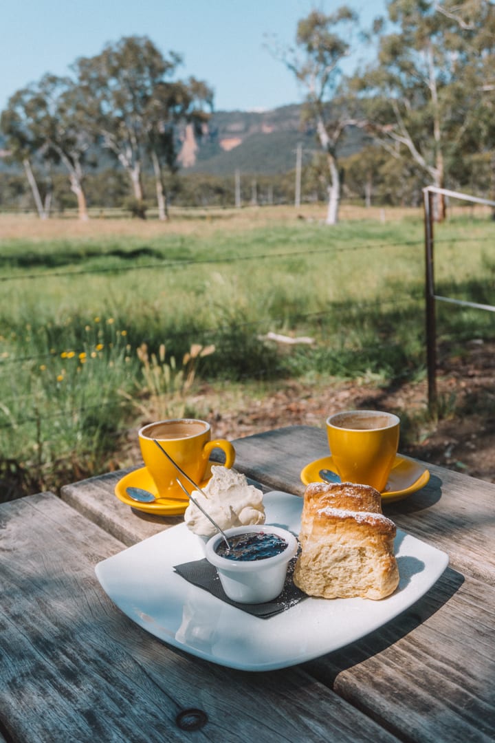 Best places to Eat in the Blue Mountains: Two yellow cups of coffee and two scones with cream and jam at the Megalong Tea Room