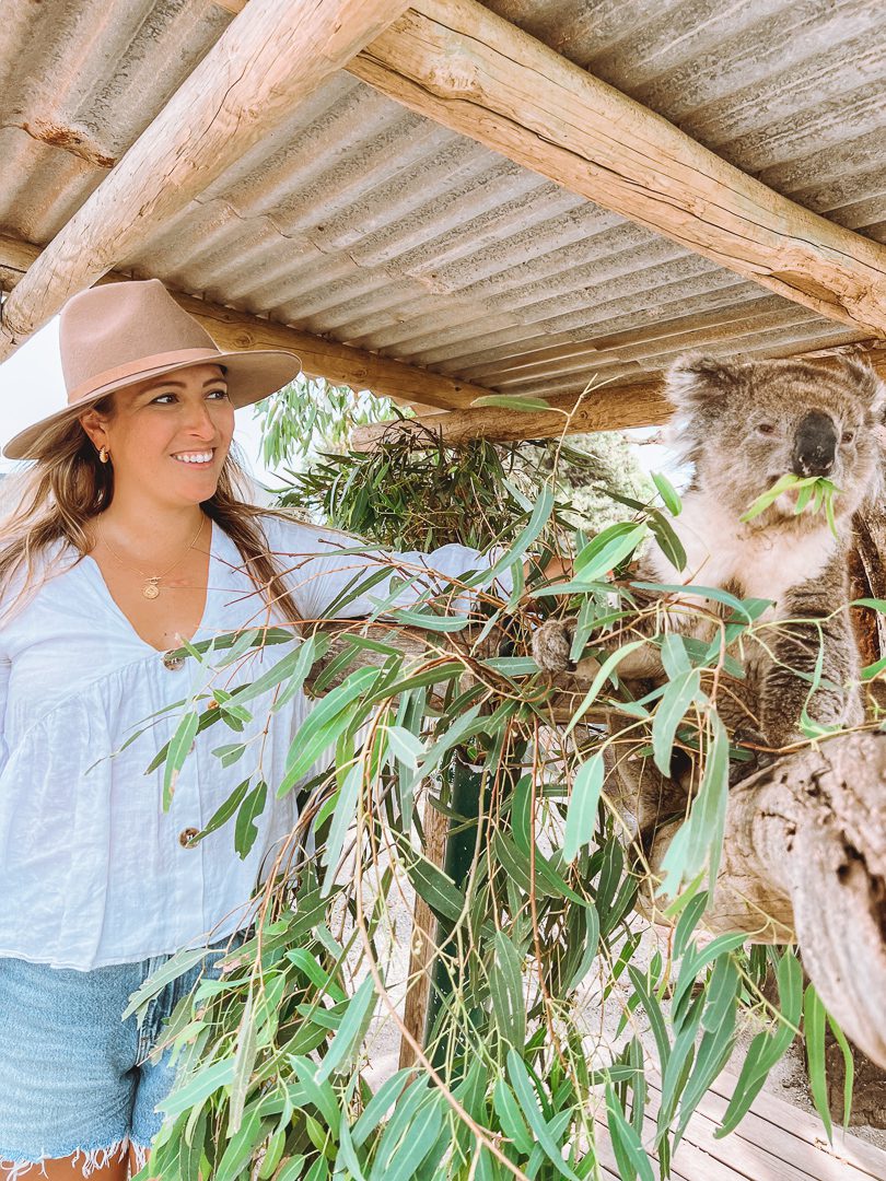 A girl looking at a Koala at Glen Forest Tourist Park in Port Lincoln