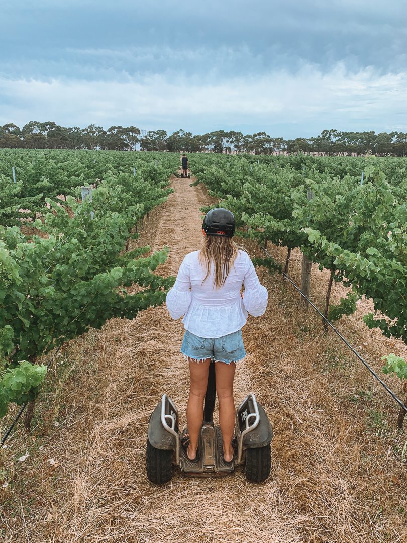 A girl rides through a vineyard on a segway