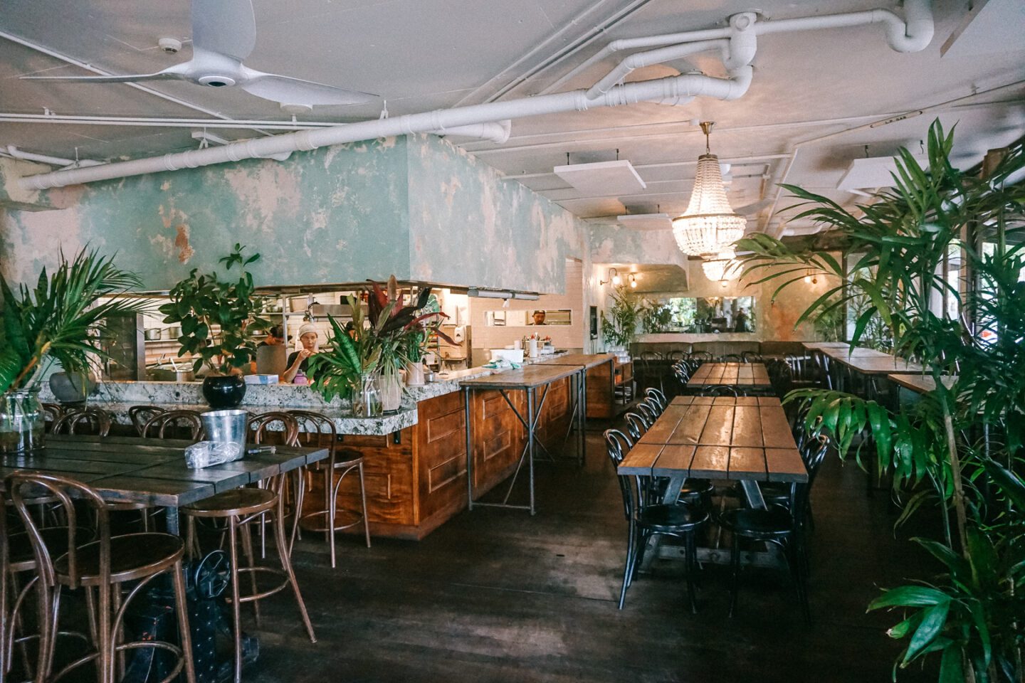 The interiors of Bang Bangs restaurant in Byron Bay