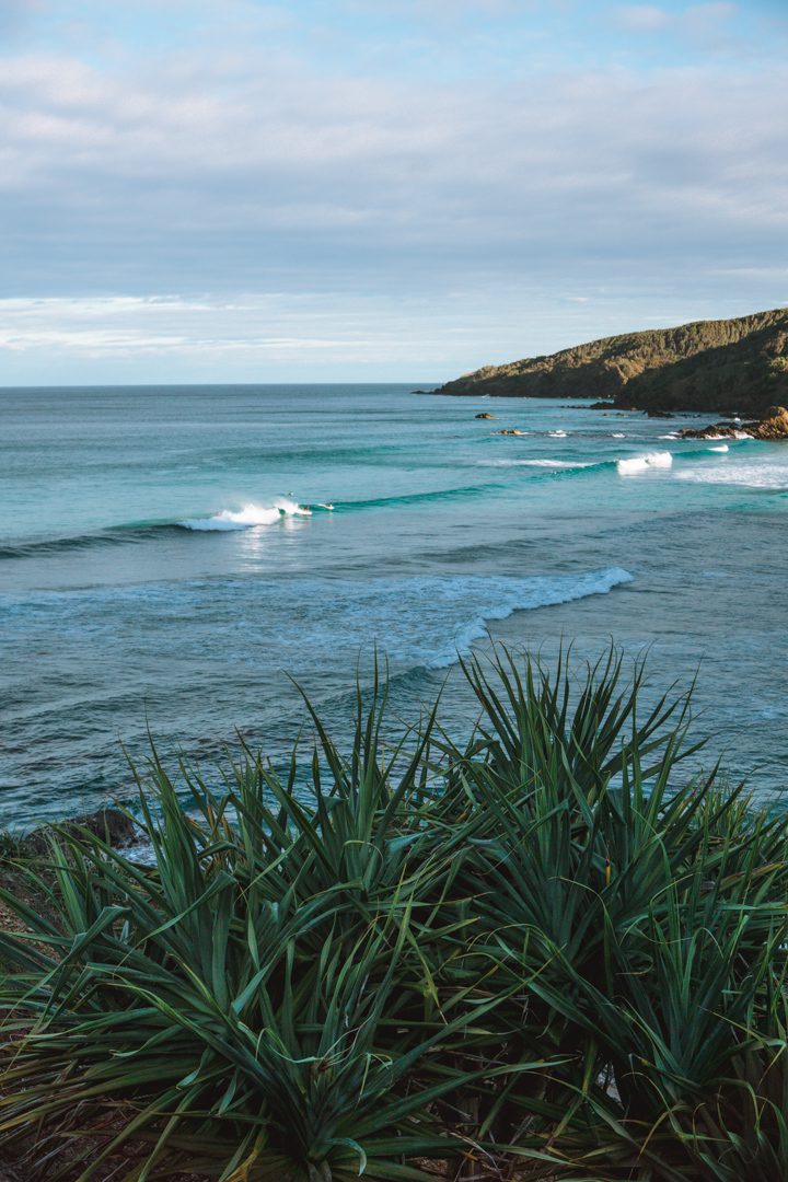 Surfers catching a wave at Kings beach in Byron Bay, Australia.