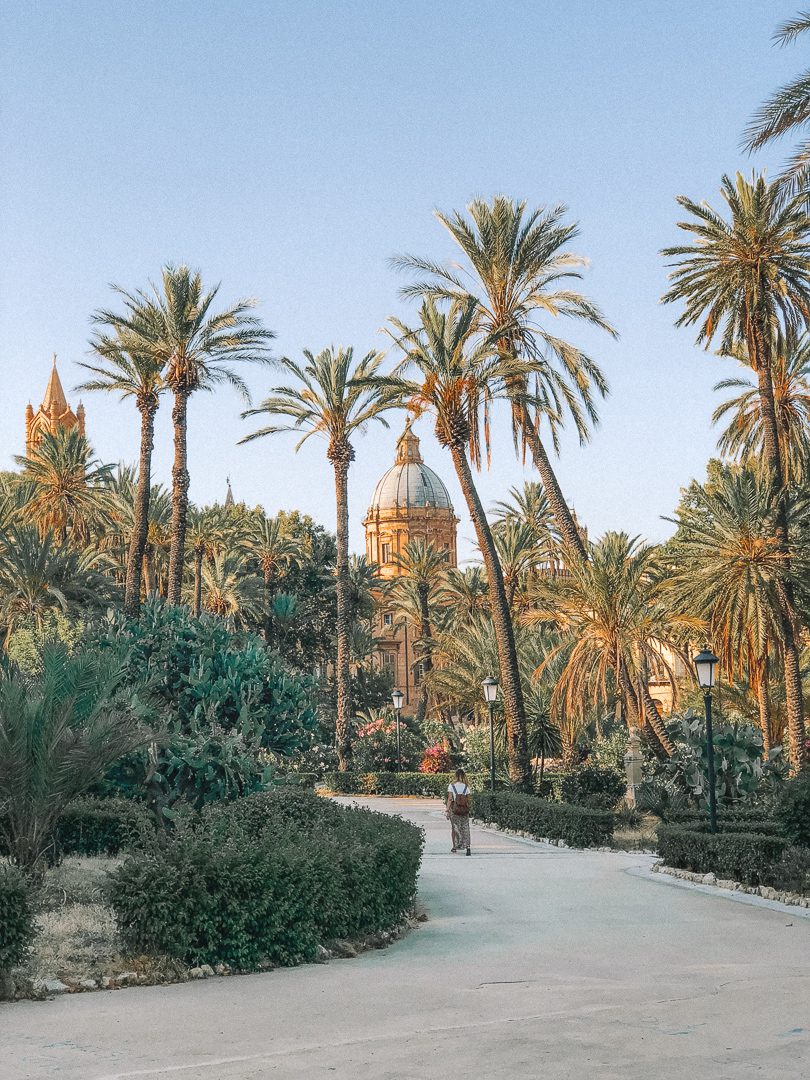 The top of the Palermo Cathedral peaks through a garden of palm trees