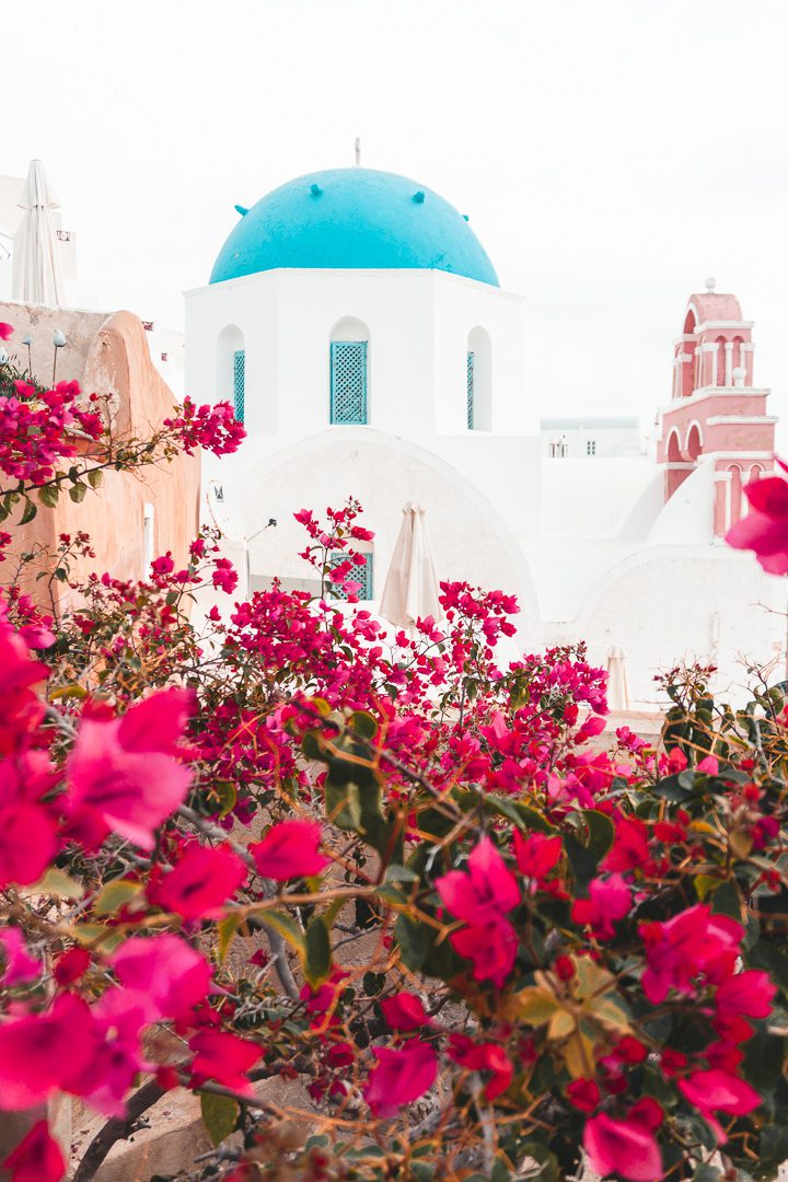 During 10 Days in Greece Itinerary be sure to admire the blue domed buildings, and flowering bougainvillea draping everywhere
