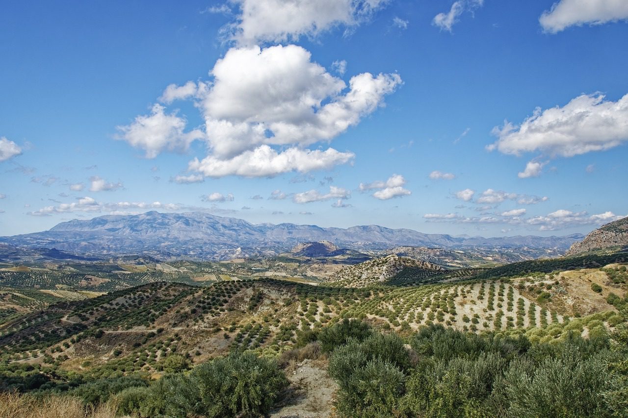 A beautiful vista of rolling hills and olive trees on Crete Greece