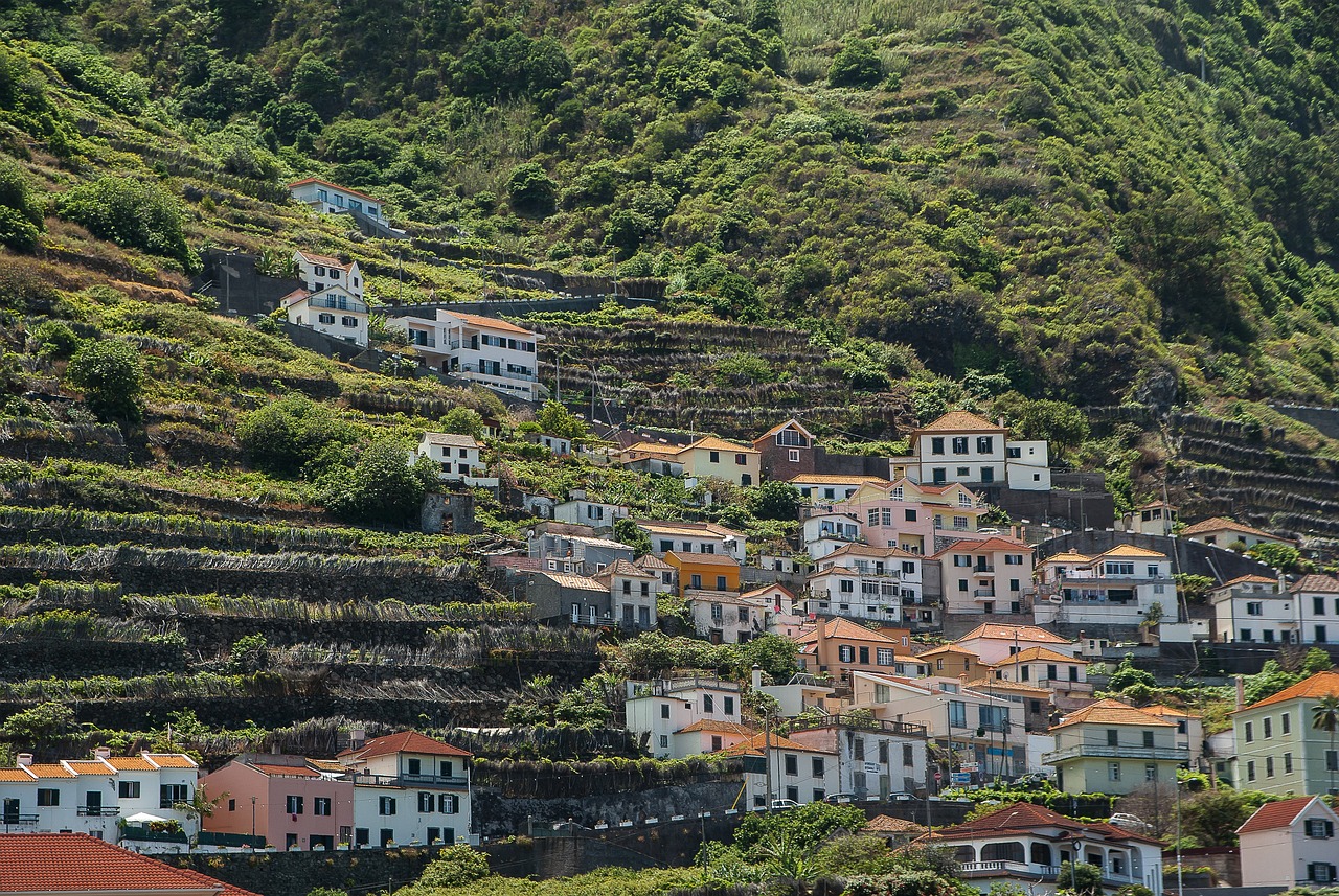 Colourful houses on terraced hills in the Douro Valley, a perfect day trip during your 3 days in Porto, Portugal