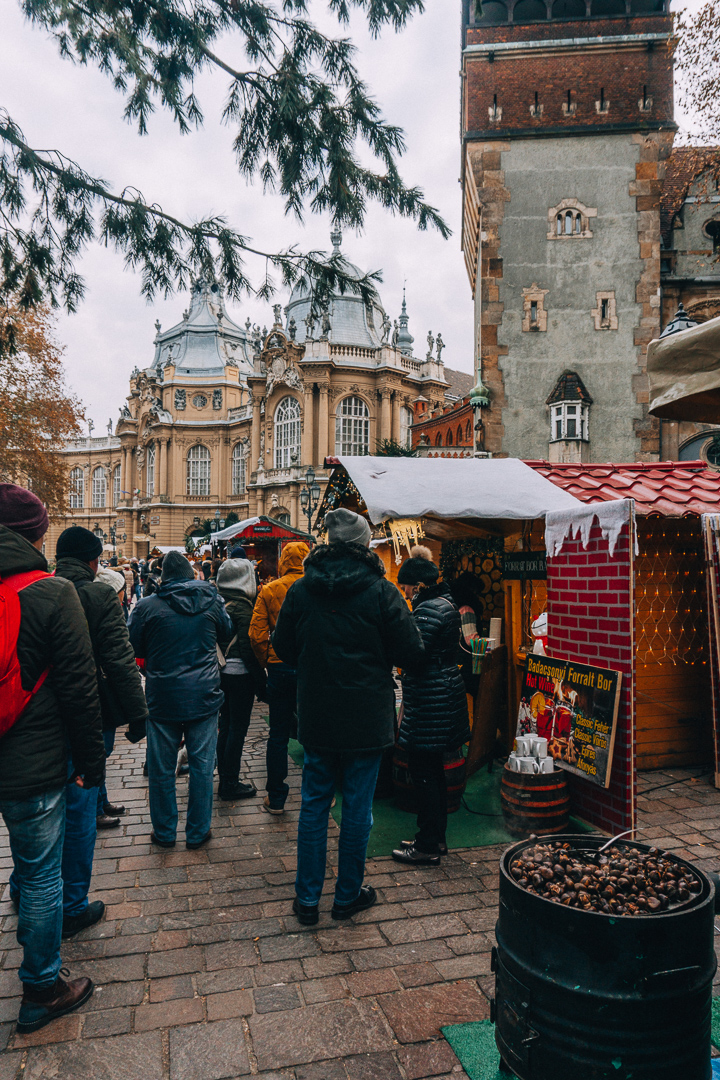 Food stalls and chestnuts roasting at the Vajdahunyad Castle Christmas Market
