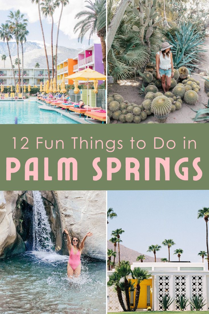 12 fun things to do in Palm Springs 4 picture pin