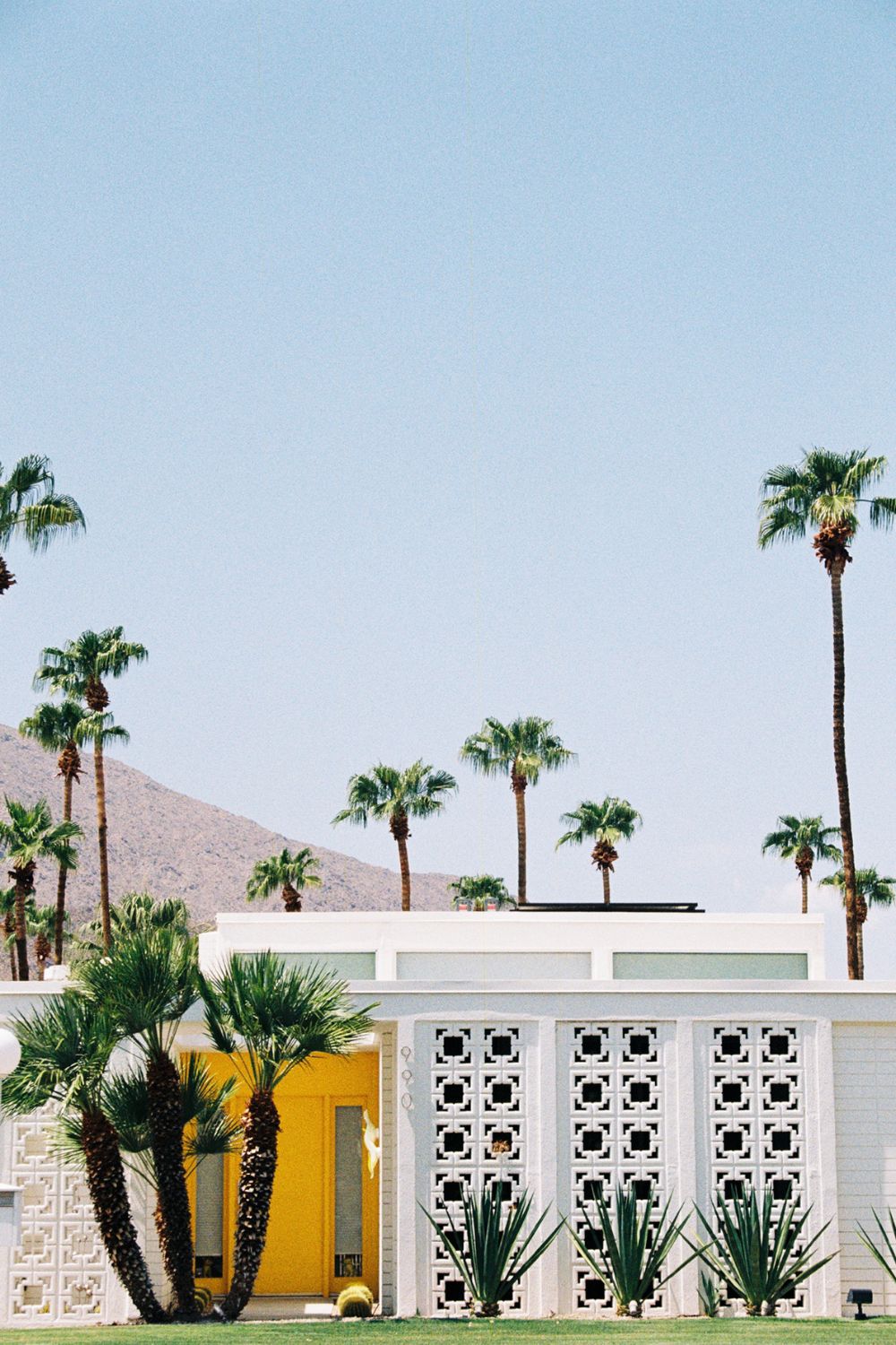 A retro yellow door and exterior of a house in Palm springs with palm trees surrounding it