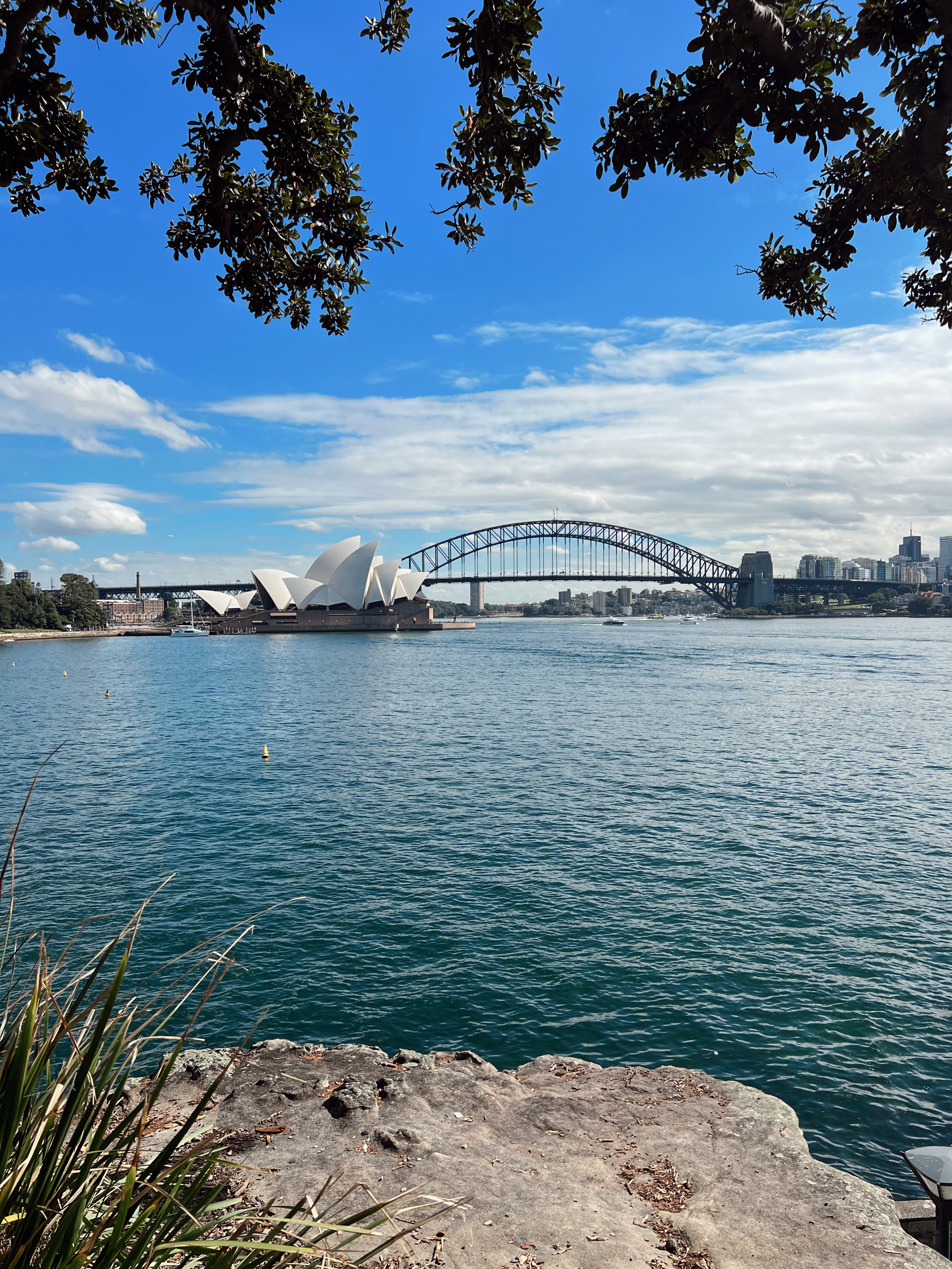 The view of Sydney's harbour bridge and the opera house from Sydney's botanic gardens - a free thing to do during your 24 hours in Sydney
