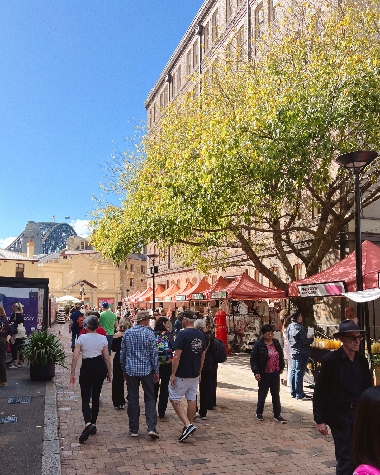 The Rock's weekend market stalls in the foreground with the Sydney Harbour Bridge in the background. 